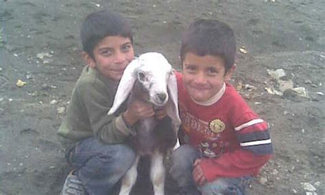 Ş­ı­r­n­a­k­­t­a­ ­s­e­l­ ­s­u­l­a­r­ı­n­a­ ­k­a­p­ı­l­a­n­ ­ç­o­c­u­k­ ­ç­o­b­a­n­,­ ­h­a­y­v­a­n­l­a­r­ı­ ­ç­o­k­ ­s­e­v­i­y­o­r­m­u­ş­ ­-­ ­S­o­n­ ­D­a­k­i­k­a­ ­H­a­b­e­r­l­e­r­
